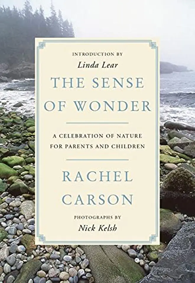 Capa do Livro A Criança e a Natureza - Rachel Carson