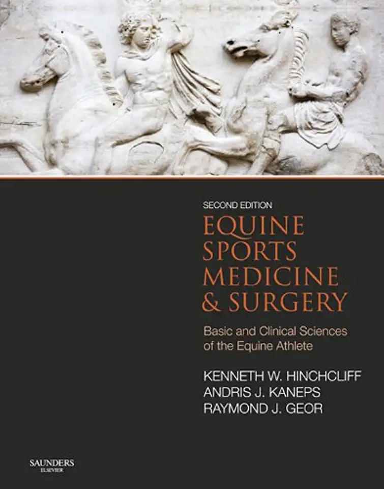 Capa do Livro Medicina de Equinos - J. A. Orsini e T. L. Sorge