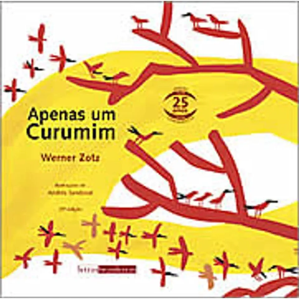 Capa do Livro Apenas um Curumim - Werner Zotz