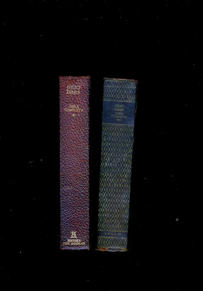 Capa do Livro Obras de Júlio Dinis 2 Volumes - Júlio Dinis