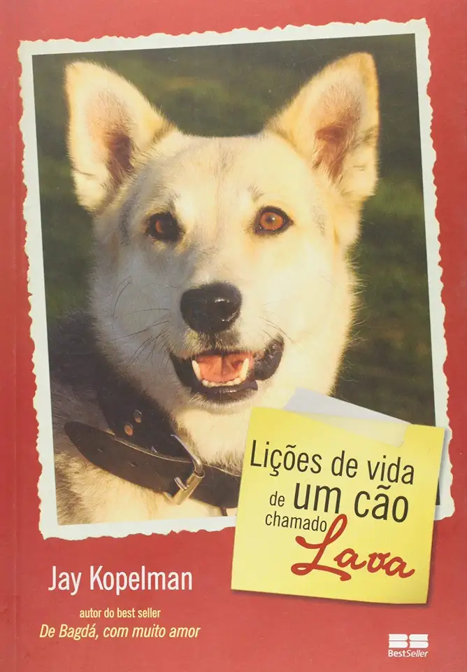 Capa do Livro Lições de Vida de um Cão Chamado Lava - Jay Kopelman