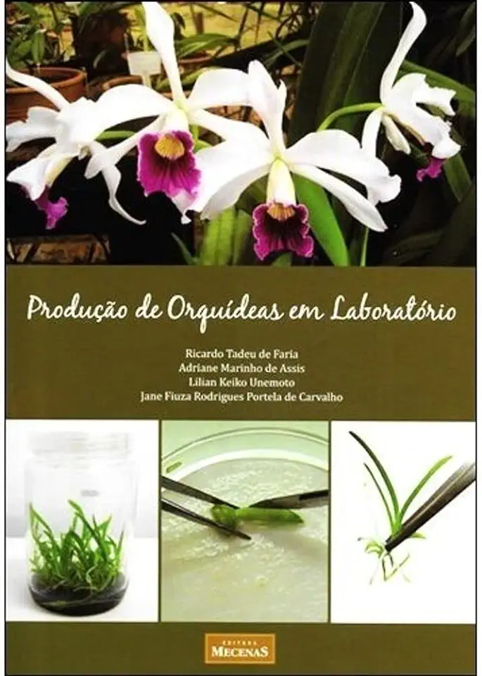 Capa do Livro Produção de Orquídeas em Laboratório - Ricardo de Tadeu Farias e Outros