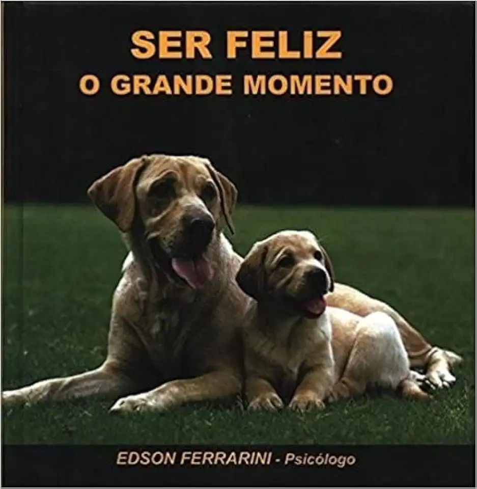 Capa do Livro Ser Feliz o Grande Momento - Edson Ferrarini