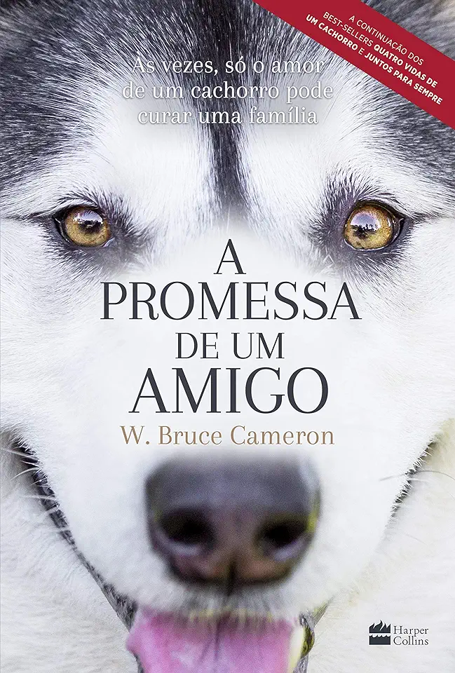 Capa do Livro A promessa de um amigo - Cameron, W. Bruce