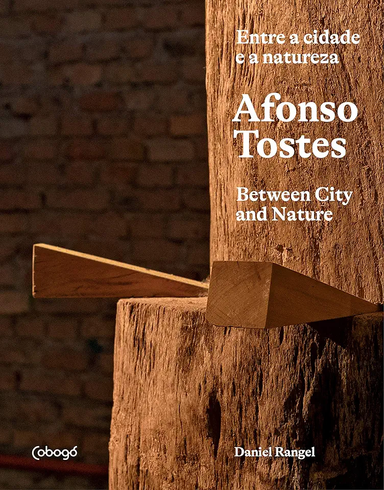 Afonso Tostes - Between the City and Nature - Rangel, Daniel