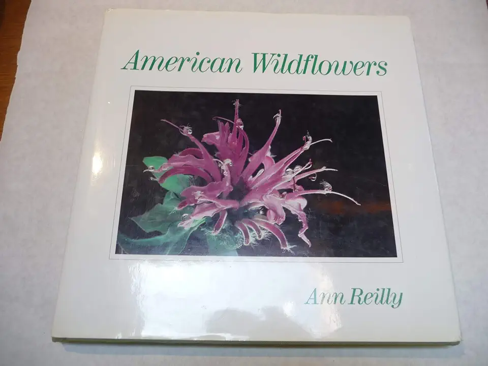 Capa do Livro American Wildflowers - Ann Reilly