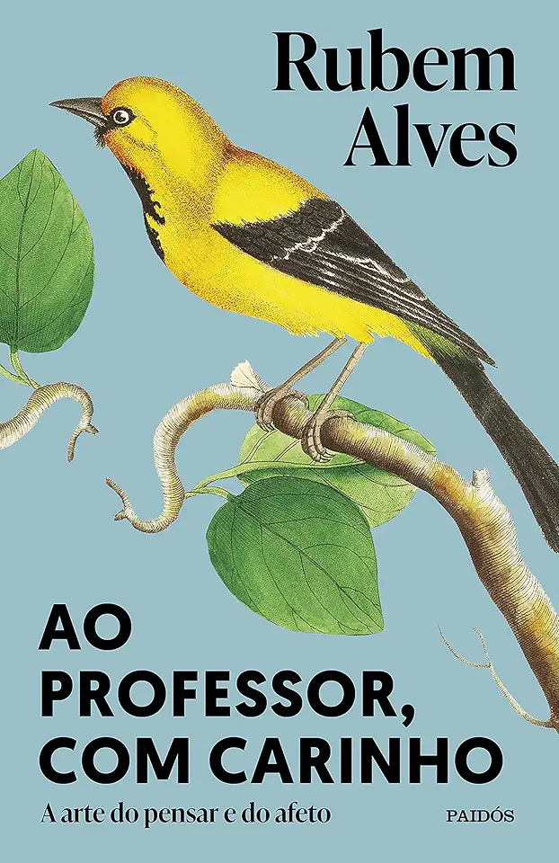 Capa do Livro Ao Professor Com o Meu Carinho - Rubem Alves