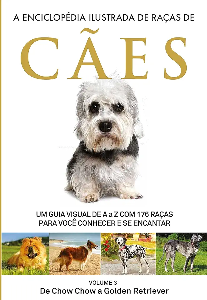 Capa do Livro Artesanato 3 Volumes - Editora Lisa