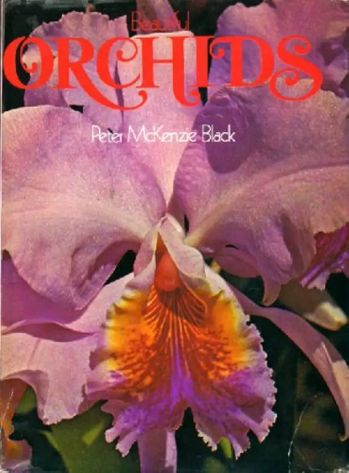 Capa do Livro Beautiful Orchids - Peter Mckenzie Black