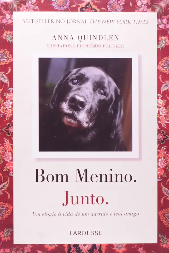 Capa do Livro Bom Menino. Junto. - Anna Quindlen