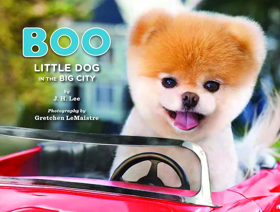 Capa do Livro Boo Little Dog in the Big City - J. H. Lee