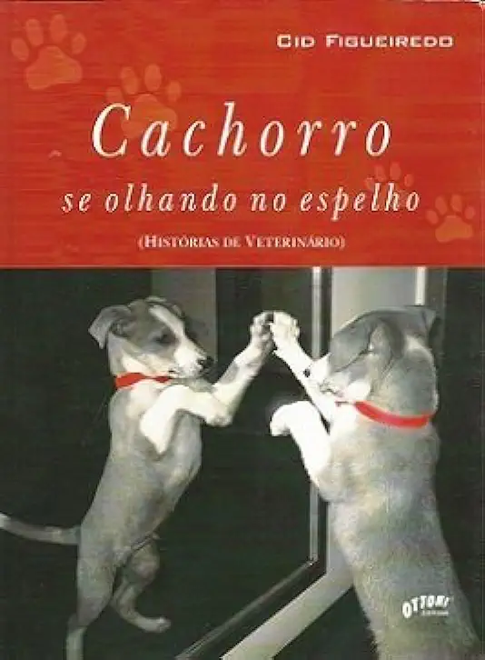 Capa do Livro Cachorro se olhando no espelho - Cid Figueiredo