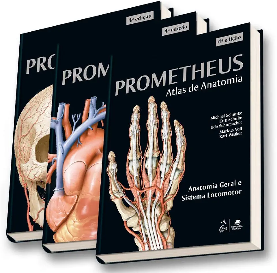 Capa do Livro Coleção - Atlas de Anatomia 3 Volumes - Schünke, Michael; Schulte, Erik; Schumacher, Udo