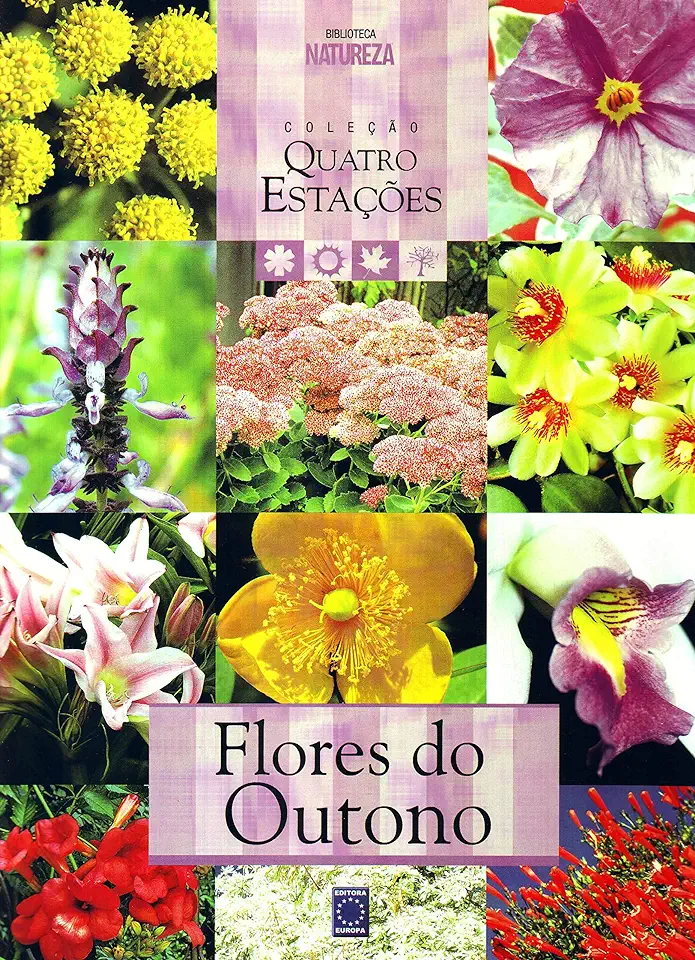 Capa do Livro Colecao Quatro Estacoes ? Flores Do Outono - Romahn, Valerio