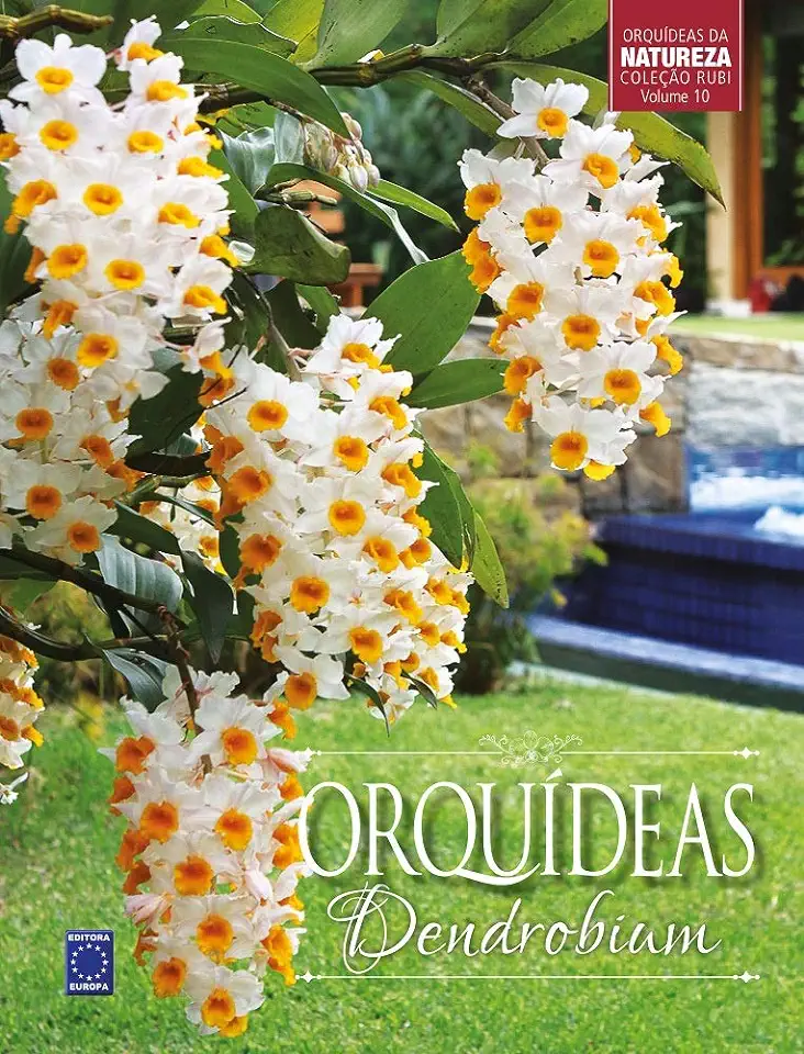 Capa do Livro Coleção Rubi Volume 10 - Orquídeas Dendrobium - Editora Europa