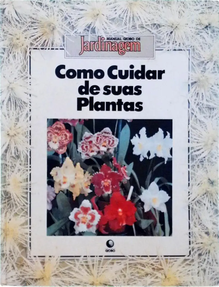 Capa do Livro Como Cuidar de Suas Plantas - Manual Globo de Jardinagem