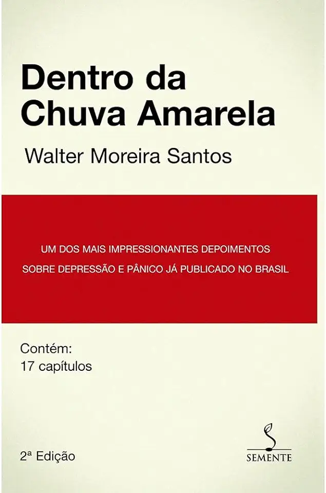 Capa do Livro Dentro da Chuva Amarela - Walter Moreira Santos