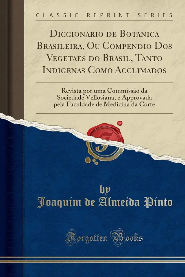 Capa do Livro Diccionario de Botanica Brasileira - Joaquim de Almeida Pinto