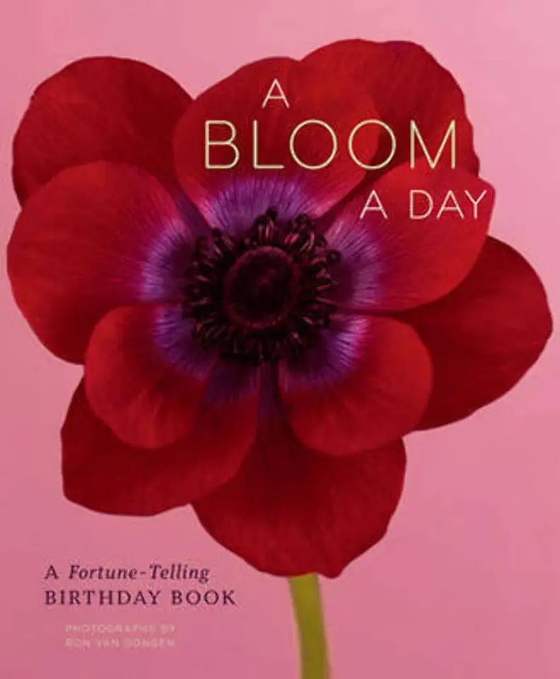 Capa do Livro A Bloom a Day - Ron Van Dongen