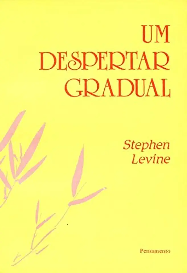 Capa do Livro Um Despertar Gradual - Stephen Levine