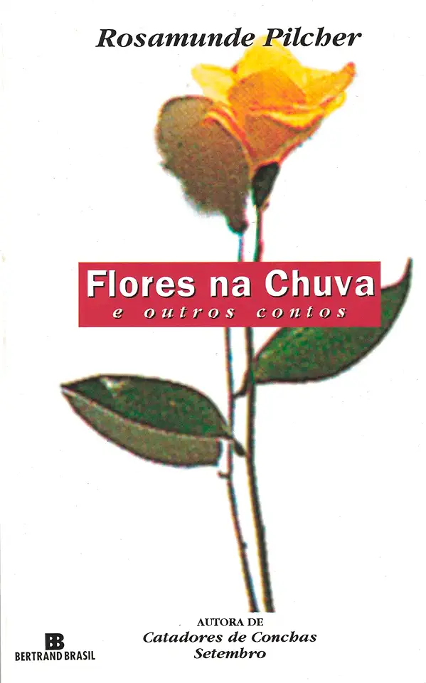 Capa do Livro Um Encontro Inesperado - Rosamunde Pilcher