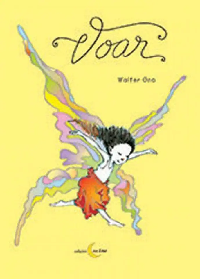 Capa do Livro Voar - Walter Ono