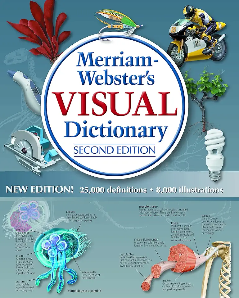 Capa do Livro Websters New Ideal Dictionary - Time