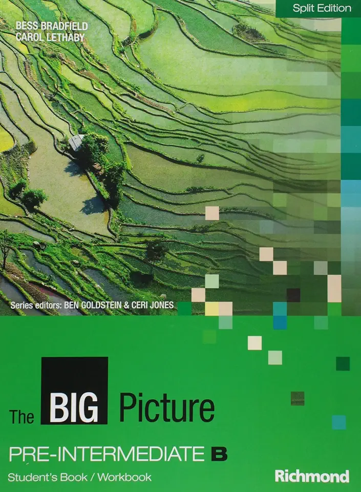 Capa do Livro The Big Picture B1 Intermediate Workbook - Bess Bradfield