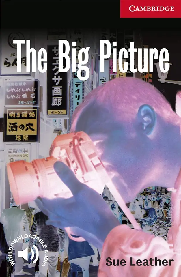 Capa do Livro The Big Picture - Sue Leather