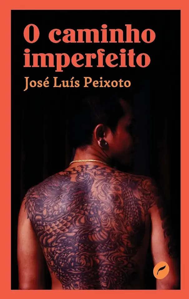 Capa do Livro O caminho imperfeito - Peixoto, José Luís