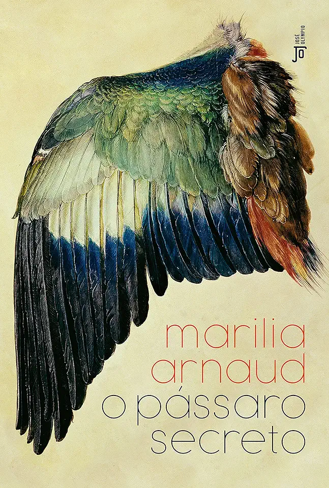 Capa do Livro O Pássaro Secreto - Arnaud, Marilia