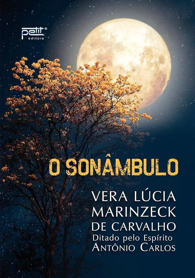 Capa do Livro O Sonâmbulo - Vera Lúcia Marinzeck de Carvalho