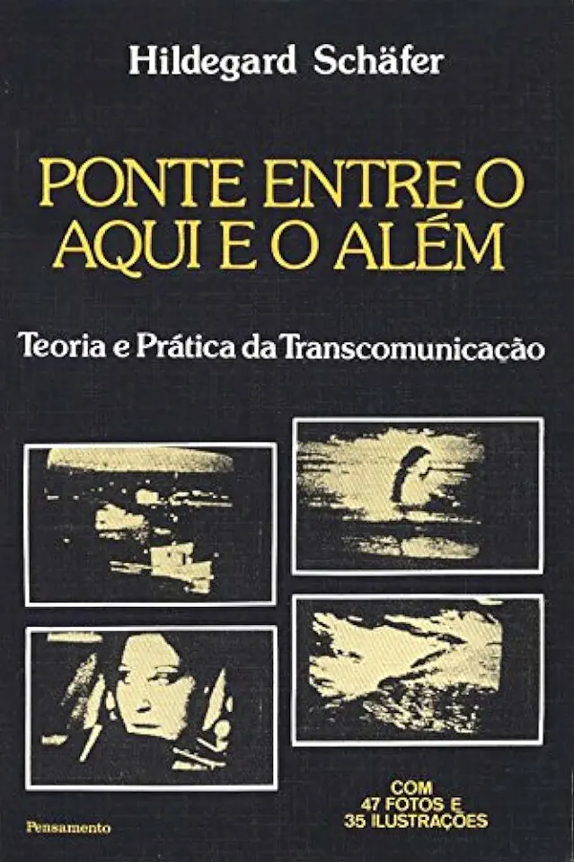 Capa do Livro Ponte Entre o Aqui e o Além - Hildegard Schafer