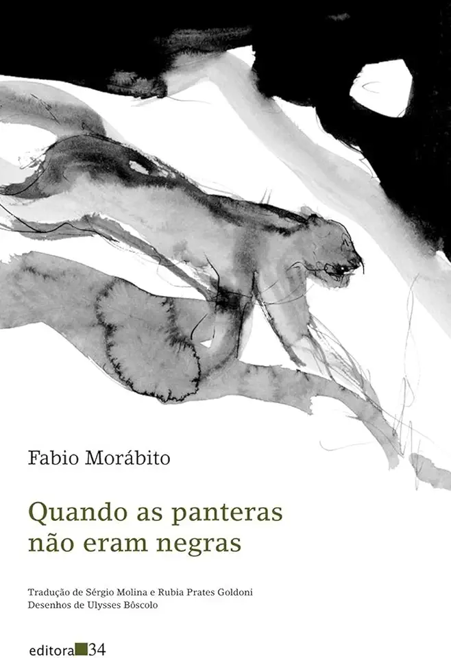 Capa do Livro Quando as Panteras Não Eram Negras - Fabio Morábito