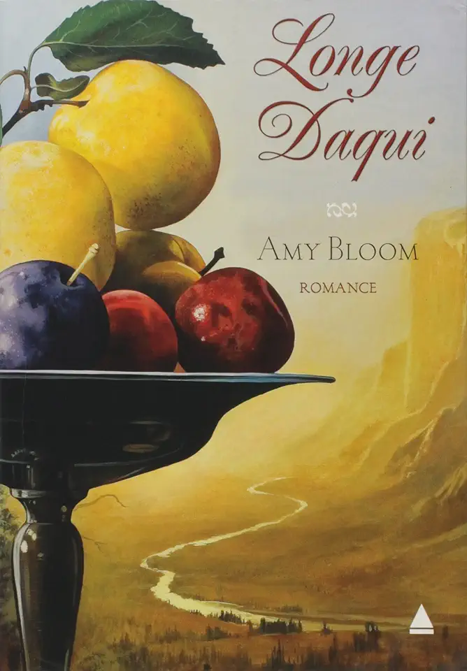 Capa do Livro Longe Daqui - Bloom, Amy