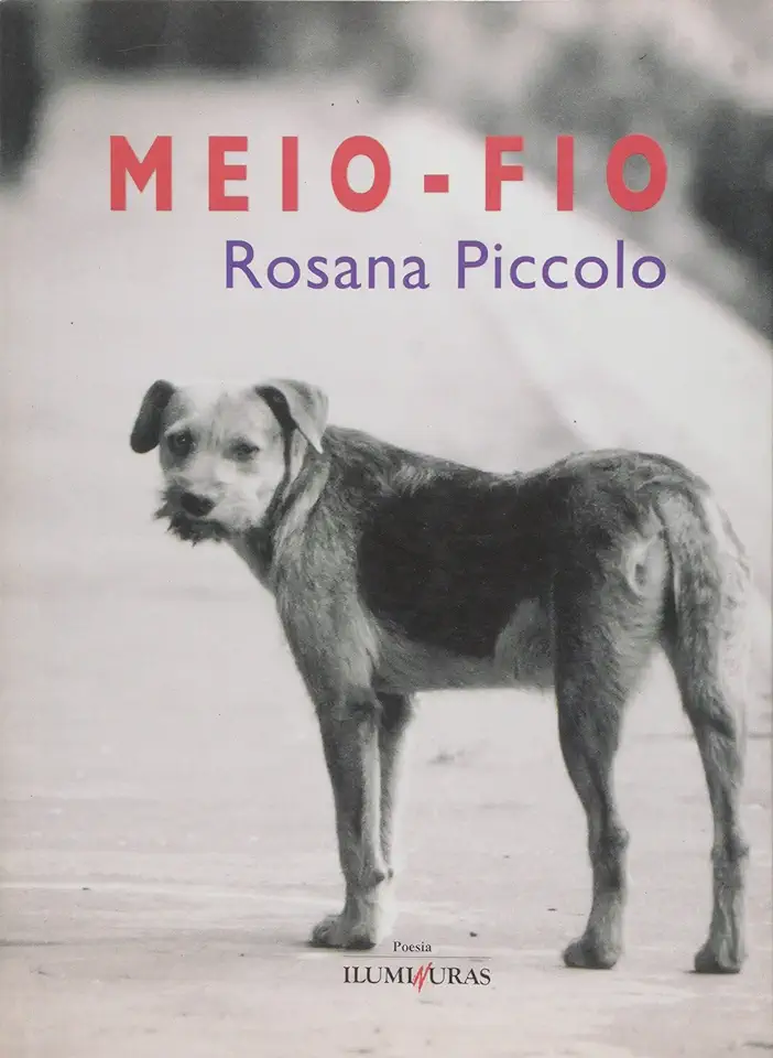 Capa do Livro Meio-fio - Rosana Piccolo