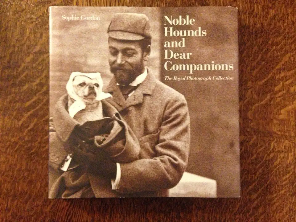 Capa do Livro Noble Hounds and Dear Companions - Sophie Gordon