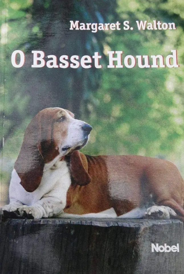 Capa do Livro O Basset - Hound - A. Carmen Heinsius