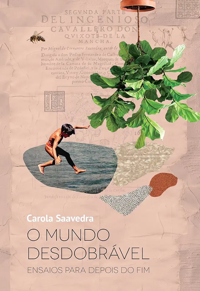 Capa do Livro O MUNDO DESDOBRAVEL - Carola saavedra