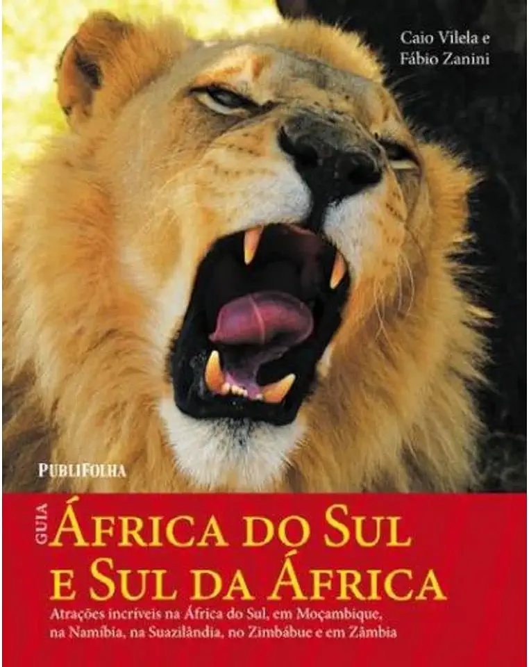 Capa do Livro Guia África do Sul e Sul da África - Caio Vilela / Fábio Zanini