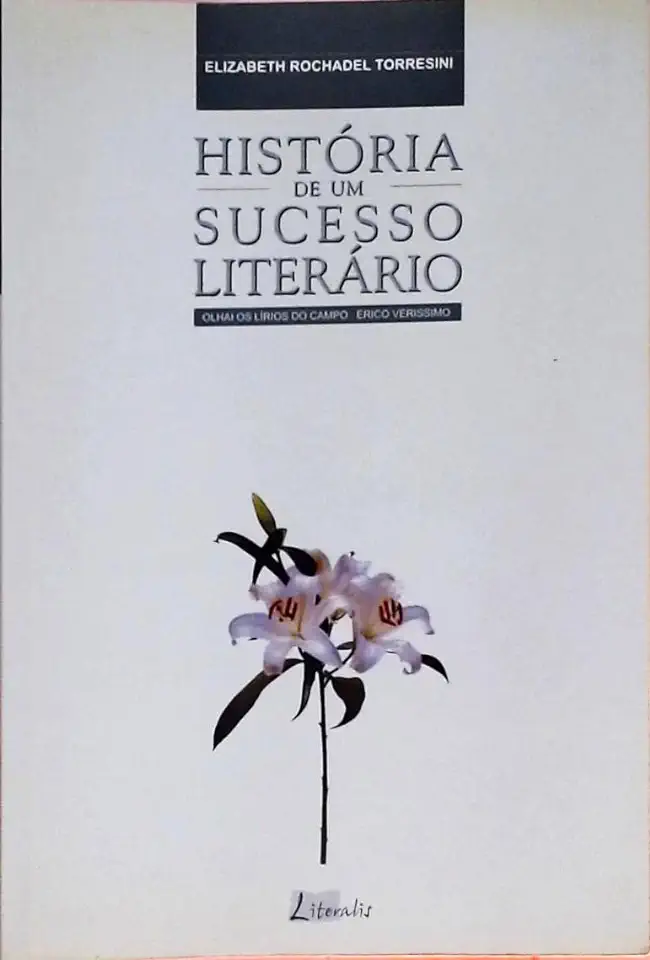 Capa do Livro História de um Sucesso Literário - Elizabeth Rochadel Torresini