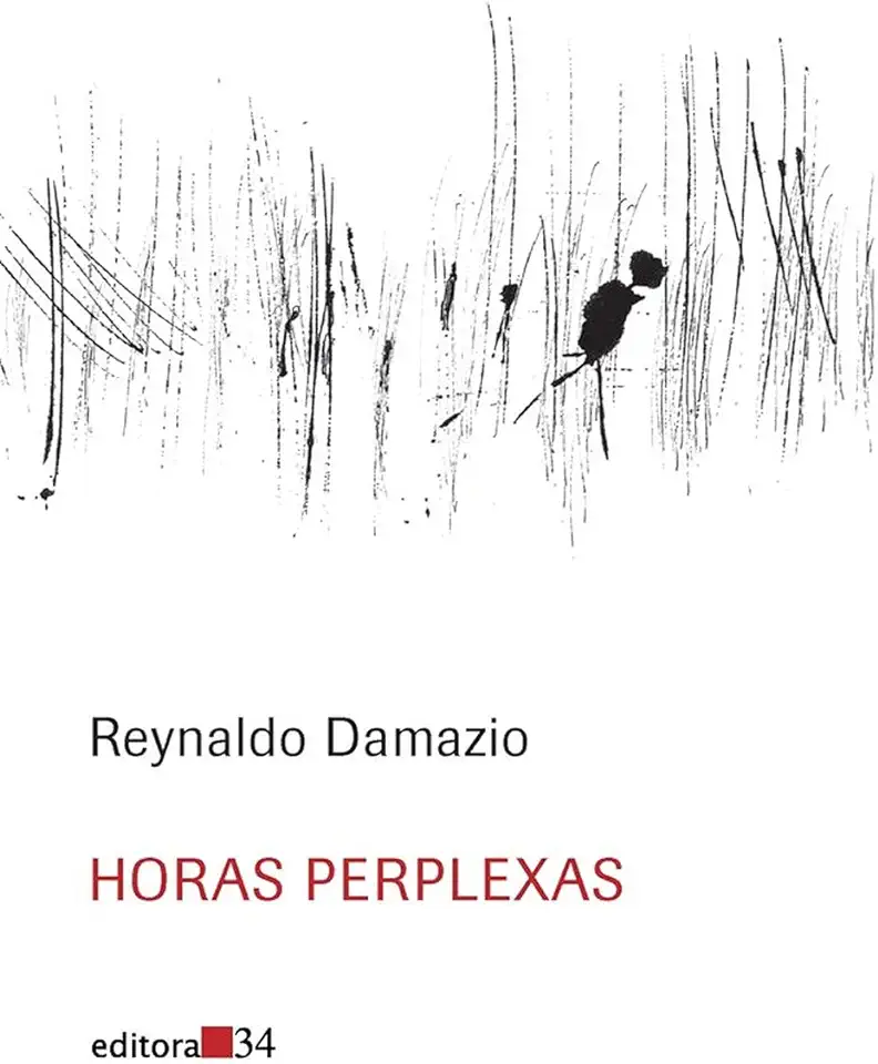 Capa do Livro Horas Perplexas - Reynaldo Damazio