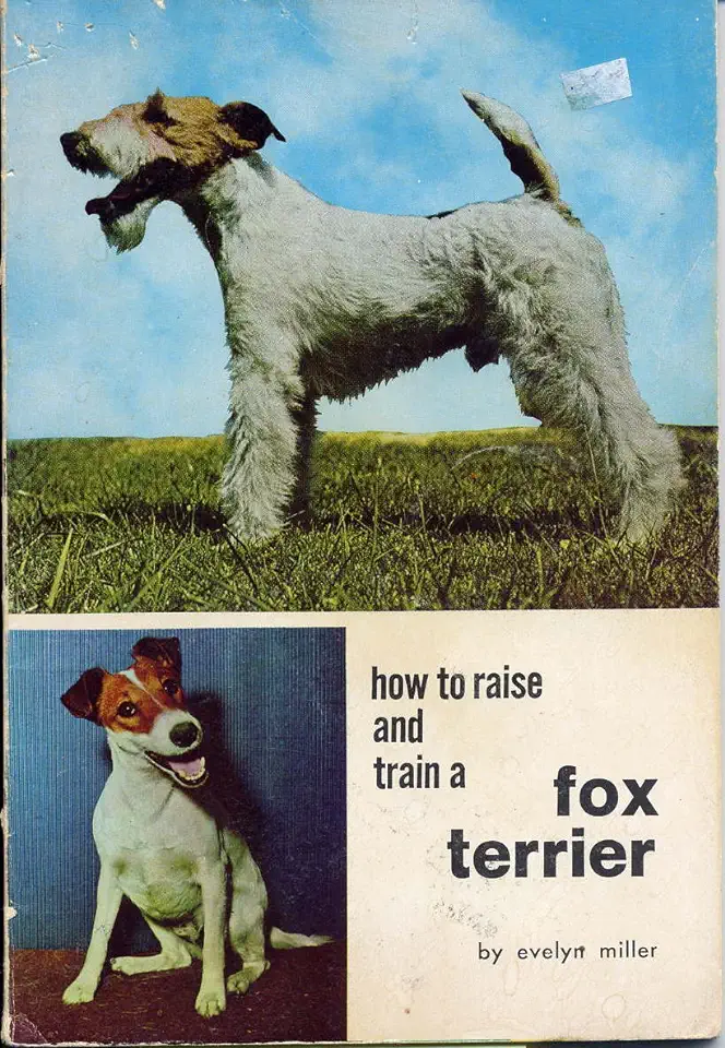 Capa do Livro How to raise and train a fox terrier - Evelyn Miller