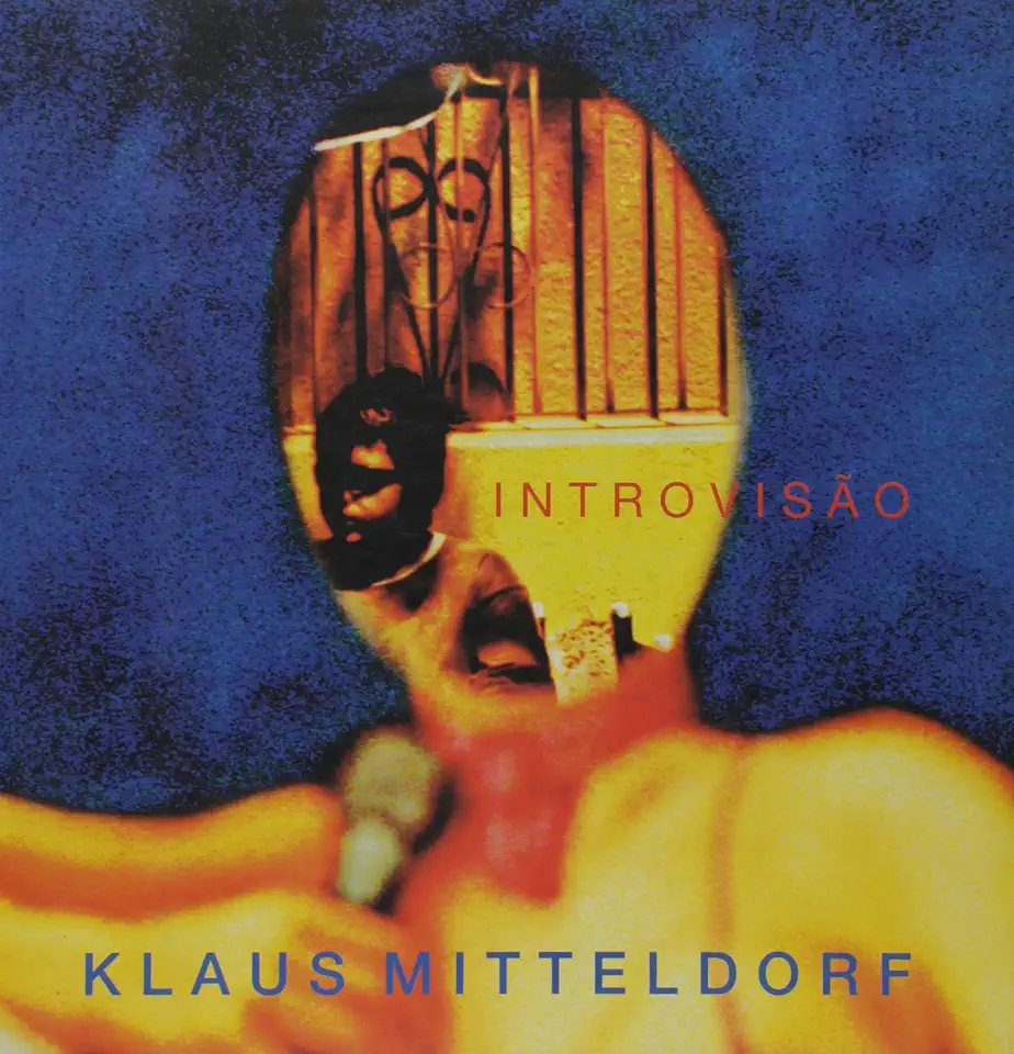 Capa do Livro Introvisão - Klaus Mitteldorf