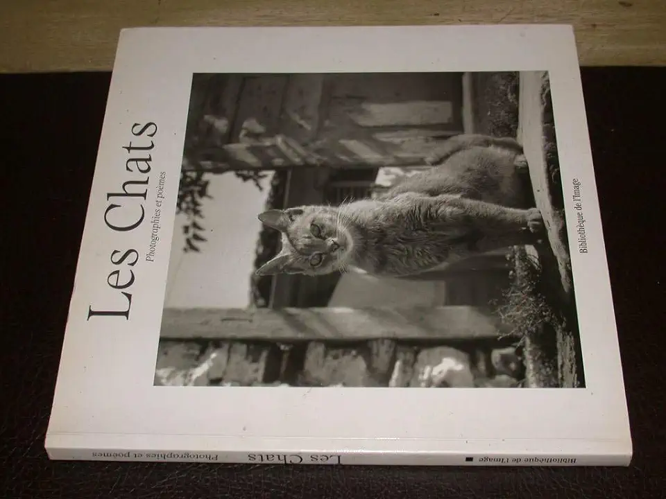 Capa do Livro Les Chats - Photographies et Poèmes - Alessandra Scarpa