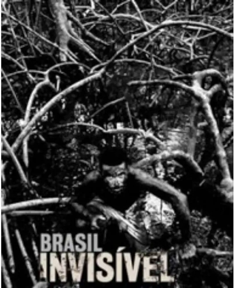 Capa do Livro Brasil Invisível - Valdemir Cunha