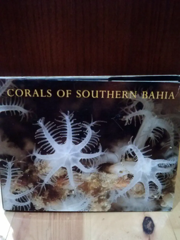 Capa do Livro Corals Of Southern Bahia - Bia Hetzel