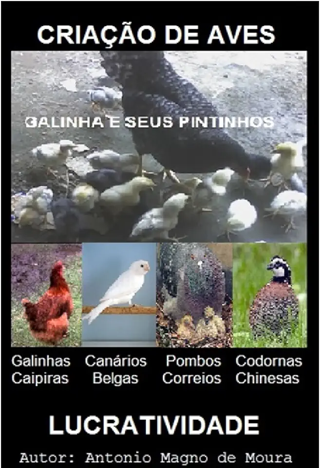 Capa do Livro Criação de Galinhas - J. Reis