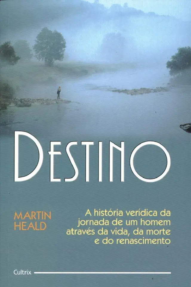 Capa do Livro Destino - Martin Heald