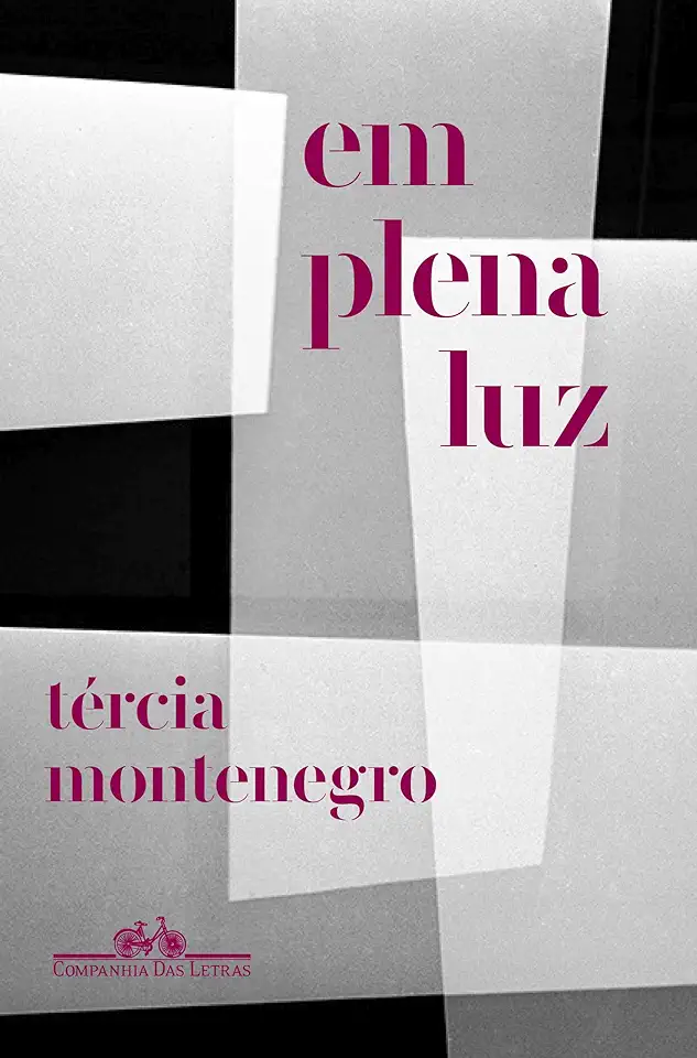 Capa do Livro Em plena luz - Montenegro, Tércia